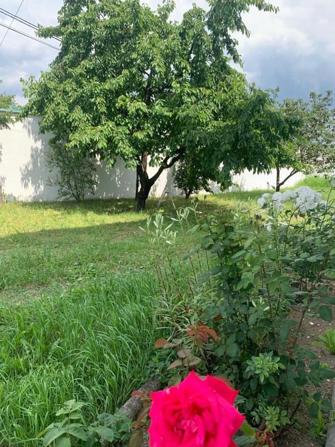 Kod Bajrame Hotel Szarajevó Kültér fotó